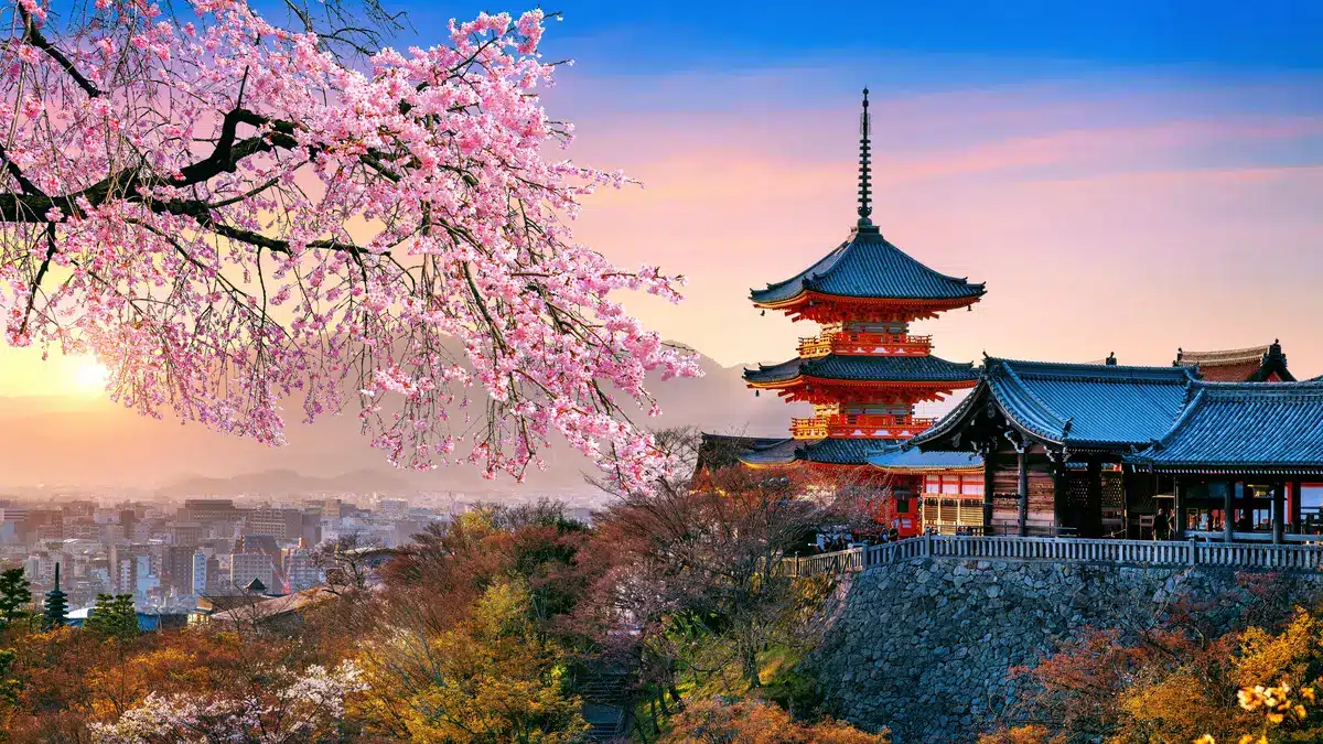 טופס כניסה ליפן Visit Japan Web — מקדש קיומיזו-דרה בקיוטו בפריחת הדובדבן